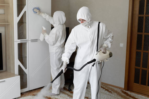 Best Certified Mold Removal  in Mount Shasta, CA